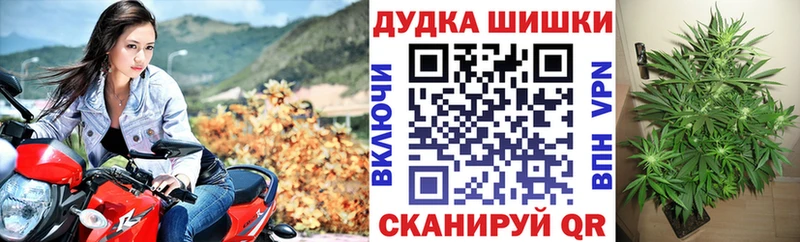Бошки марихуана THC 21%  Избербаш 